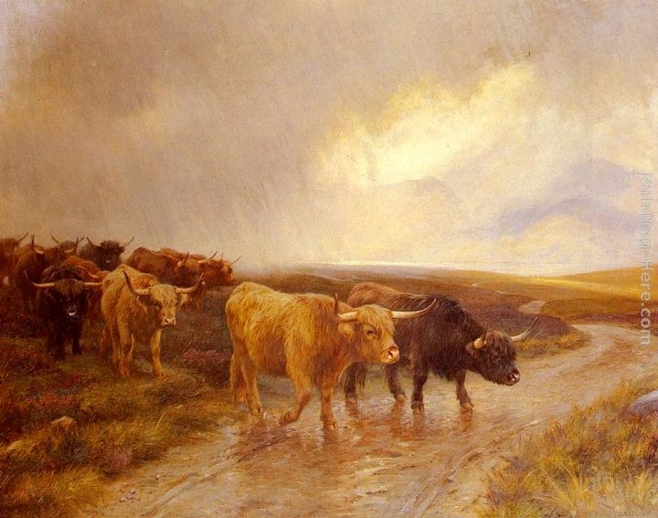 Wright Barker Highland Cattle